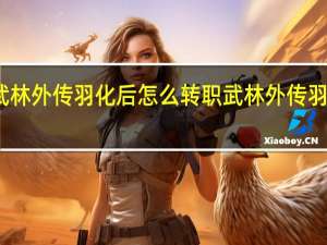武林外传羽化后怎么转职 武林外传羽化任务