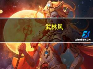 武林风（wlf）