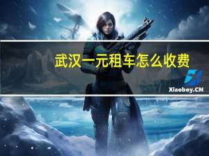 武汉一元租车怎么收费