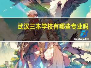 武汉三本学校有哪些专业吗