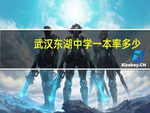 武汉东湖中学一本率多少