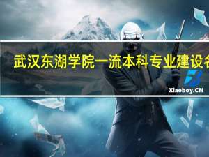 武汉东湖学院一流本科专业建设名单