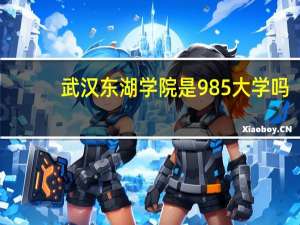 武汉东湖学院是985大学吗