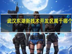 武汉东湖新技术开发区属于哪个区