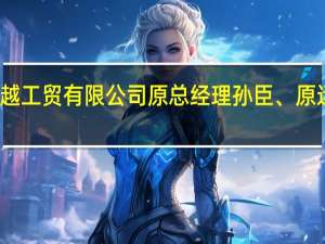 武汉东风电动创越工贸有限公司原总经理孙臣、原运管部负责人李晖被查