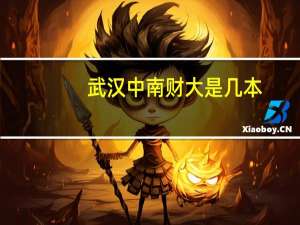 武汉中南财大是几本