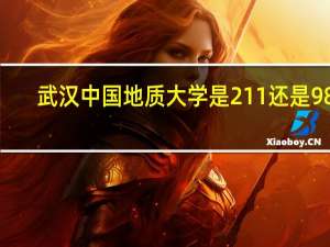 武汉中国地质大学是211还是985