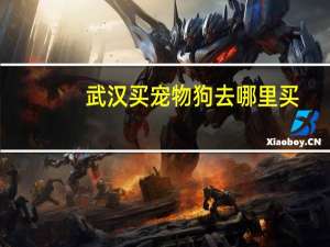 武汉买宠物狗去哪里买