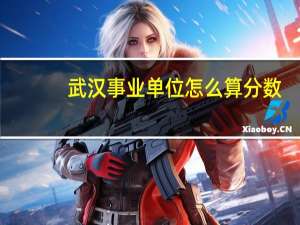 武汉事业单位怎么算分数