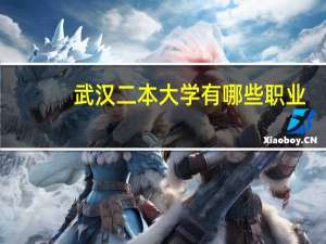武汉二本大学有哪些职业