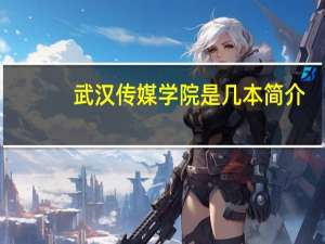 武汉传媒学院是几本简介