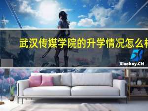 武汉传媒学院的升学情况怎么样