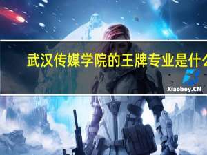 武汉传媒学院的王牌专业是什么