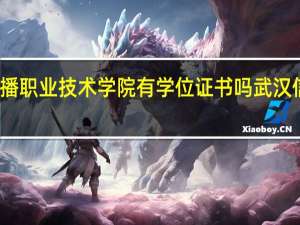 武汉信息传播职业技术学院有学位证书吗 武汉信息职业技术学院