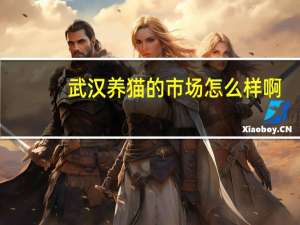 武汉养猫的市场怎么样啊