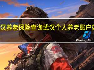 武汉养老保险查询 武汉个人养老账户如何查询