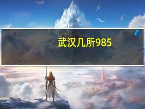 武汉几所985
