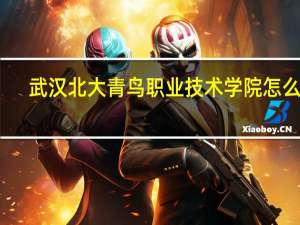 武汉北大青鸟职业技术学院怎么样