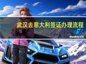 武汉去意大利签证办理流程(意大利签证预约服务)