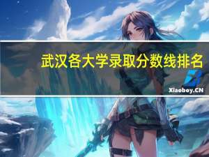 武汉各大学录取分数线排名