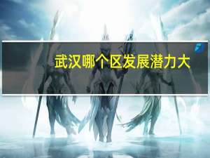 武汉哪个区发展潜力大