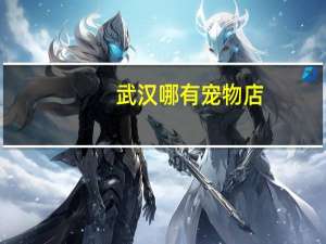 武汉哪有宠物店