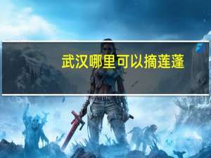 武汉哪里可以摘莲蓬