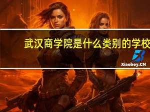 武汉商学院是什么类别的学校