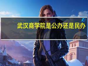 武汉商学院是公办还是民办