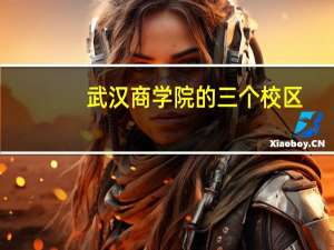 武汉商学院的三个校区