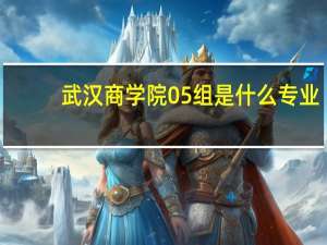 武汉商学院05组是什么专业