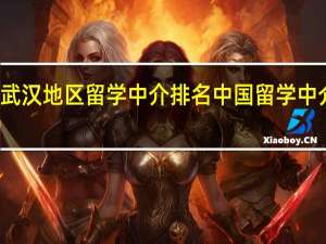 武汉地区留学中介排名 中国留学中介排名