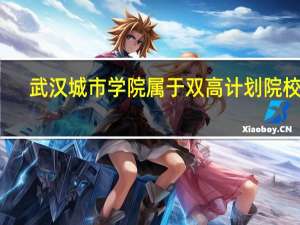 武汉城市学院属于双高计划院校吗