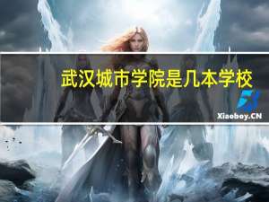 武汉城市学院是几本学校