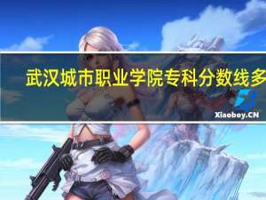 武汉城市职业学院专科分数线多少