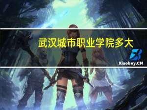 武汉城市职业学院多大