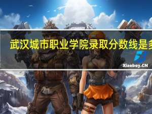 武汉城市职业学院录取分数线是多少