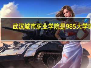 武汉城市职业学院是985大学吗