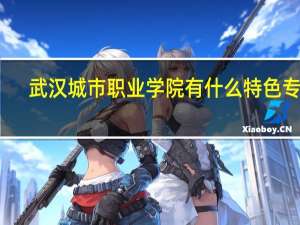 武汉城市职业学院有什么特色专业