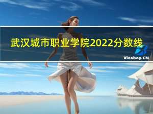 武汉城市职业学院2022分数线（武汉城市职业学院）