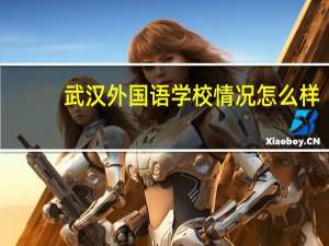 武汉外国语学校情况怎么样