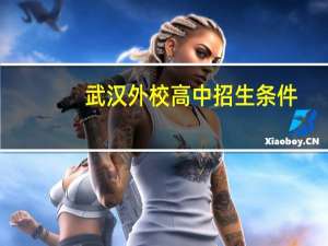 武汉外校高中招生条件