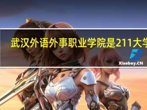 武汉外语外事职业学院是211大学吗