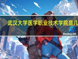 武汉大学医学职业技术学院是几本