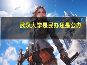 武汉大学是民办还是公办
