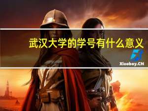 武汉大学的学号有什么意义