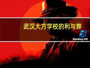 武汉大方学校的利与弊