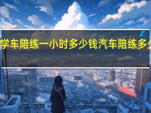 武汉学车陪练一小时多少钱 汽车陪练多少钱一小时