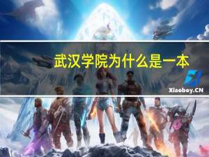 武汉学院为什么是一本