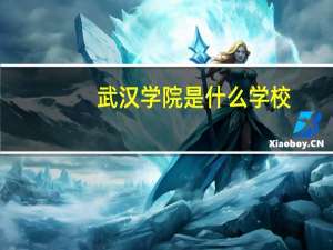 武汉学院是什么学校